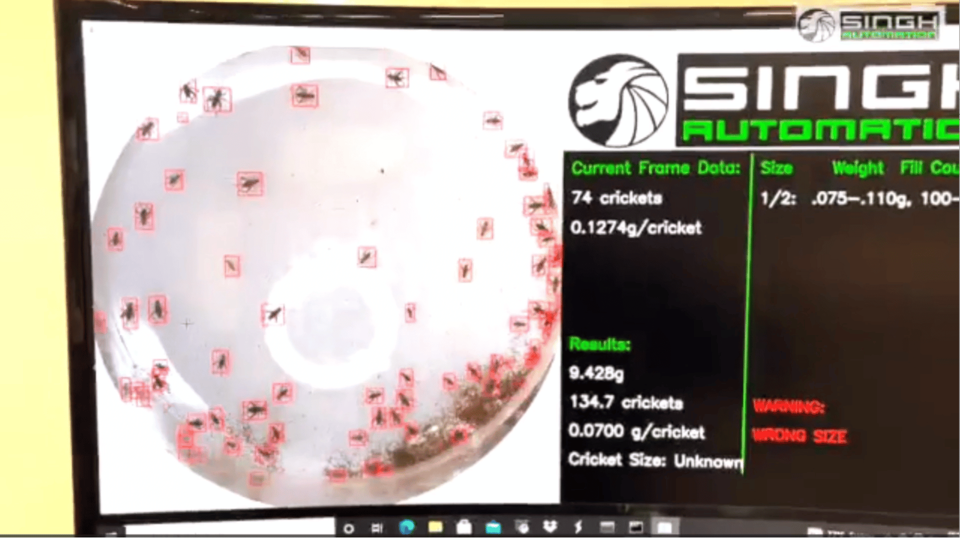 Cricket Counting AI Vision System Singh Automation